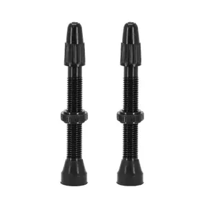 Pair of removable tubless tire valves Vittoria Presta