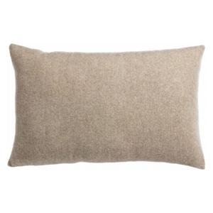 Pude Vivaraise Carina