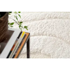 Living room carpets Vivaraise Alivio 120x170x1 image-4
