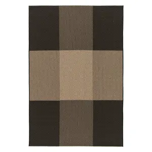 Carpet Vivaraise Carry