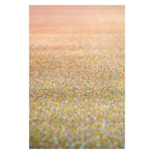 1889090000-mattor-for-vardagsrummet-vivaraise-caro-mangfargad-290x200-cm