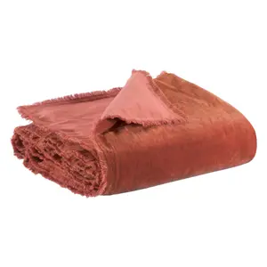 Derka Vivaraise Fara