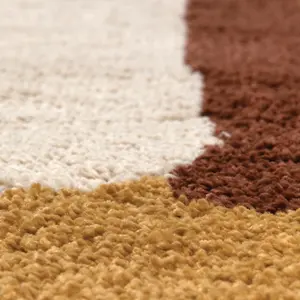 Living room carpets Vivaraise Tahina image-1