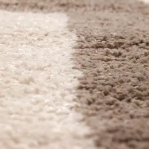 Living room carpets Vivaraise Cristina image-2
