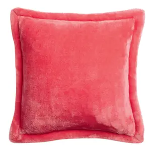 Cushion Vivaraise Tender image-0