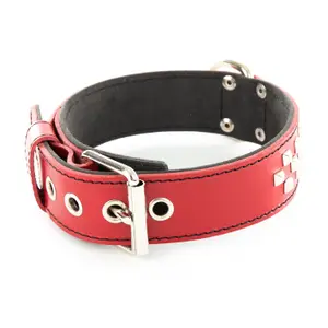 Collar de perro de cuero Vivog Clou