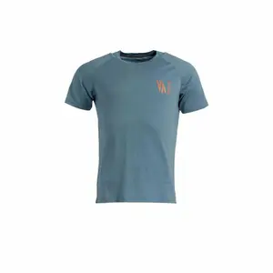 T-shirt raidlight merino Vertical Mountain image-0