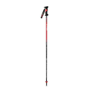 Ski poles Vola Slalom World Cup