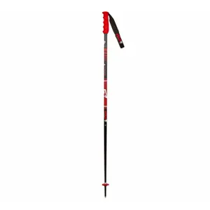 Ski poles Vola Slalom 19-20 105 cm image-0