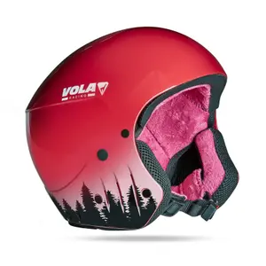 Ski helmet Vola Fis Wood