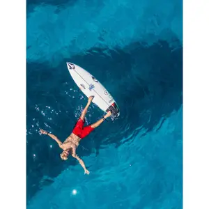 Short da surf Volcom Vitals J Robinson Mod 20 image-6