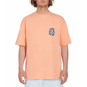 T-shirt Volcom Guano LSE image-0
