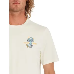 T-shirt Volcom Mr Liberty FTY image-1