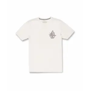 T-shirt Volcom Perennial Fty image-0