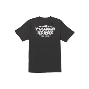 Camiseta Volcom Fty Sst image-1
