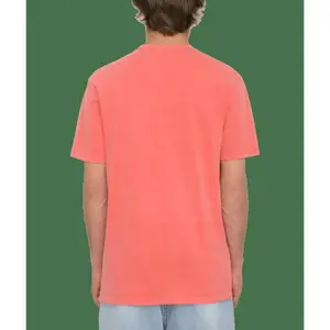T-shirt Volcom Nu Sun Pw image-1