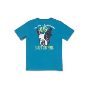 Basic T-shirt for kids Volcom Maddee image-1