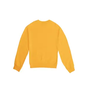 Sweatshirt round neck child Volcom Budonboard image-1