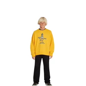 Sweatshirt round neck child Volcom Budonboard image-3