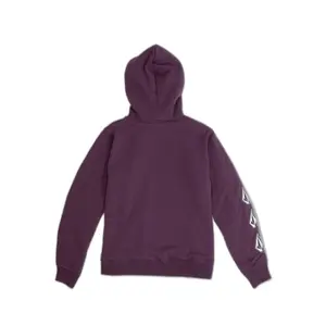 Zipped sweatshirt for kids Volcom Iconic Stone Lined image-1