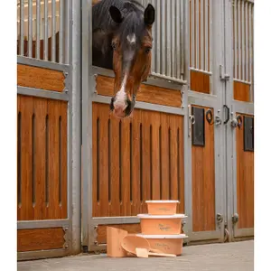 Grain shovel Waldhausen image-2