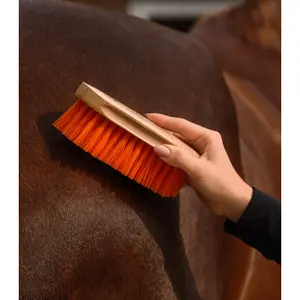 Horsehair brush Waldhausen Colorcare image-3