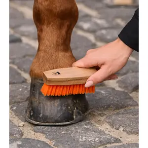 Hoof brush Waldhausen Colorcare image-2