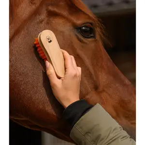 Head brush Waldhausen Colorcare image-2