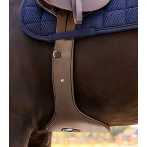 Reitlatzgurt Waldhausen image-1