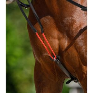 Resguardos para cavalos Waldhausen W-trainRein image-1