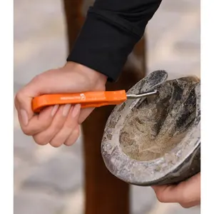 Cure-pied pour cheval Waldhausen image-2