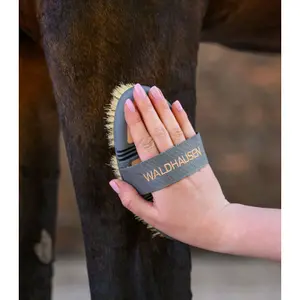 Grooming brush for horses Waldhausen image-2