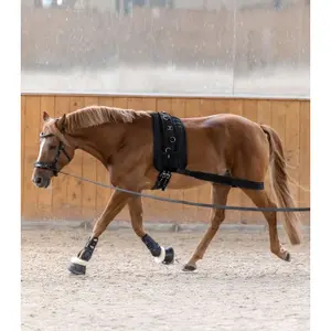 Open horse boots Waldhausen Memory Foam Pro image-3