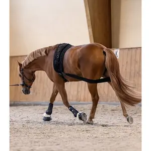 Open horse boots Waldhausen Memory Foam Pro image-4