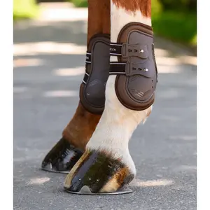 Offene Beinschoner für Pferde mit Schlagringen Waldhausen Memory Foam Pro image-2