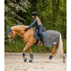 Κλειστές γκέτες για άλογα Waldhausen Pegasus image-4