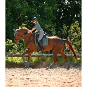 Stivaletti per caviglia di cavallo Waldhausen Health & Care image-5