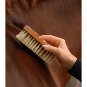 Horse brush Waldhausen Exclusive Line image-3