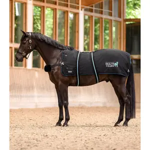 Heated blanket for horse Waldhausen Health + Care TecSupreme image-1