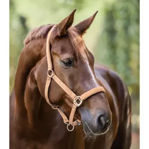 Satin horse halter Waldhausen image-1
