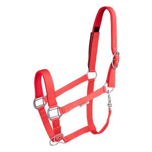 Safety halter for pony Waldhausen image-0