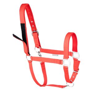 Safety halter for pony Waldhausen image-1