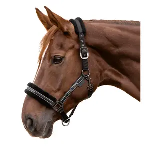 Halter for horse Waldhausen Elegant image-1