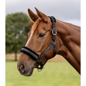 Halter for horse Waldhausen Elegant image-2