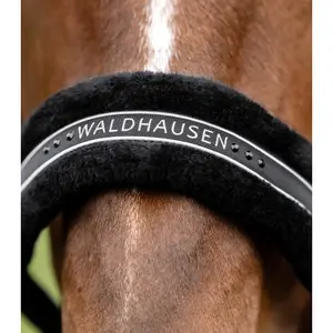 Halter for horse Waldhausen Elegant image-3
