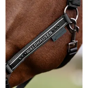 Halter for horse Waldhausen Elegant image-4