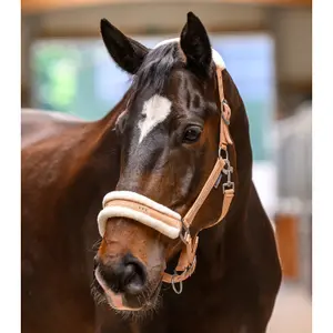 Licol pour cheval Waldhausen Elegant image-1