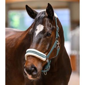 Licol fourrure pour cheval Waldhausen Elegant image-1