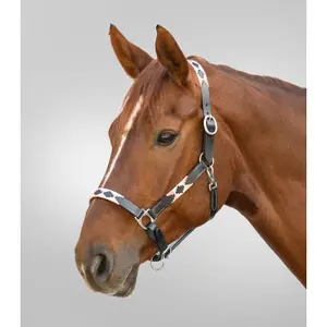 Καπίστρι για άλογο Waldhausen X-Line Polo image-1