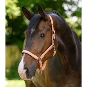 Licol pour cheval Waldhausen Atheltic image-1